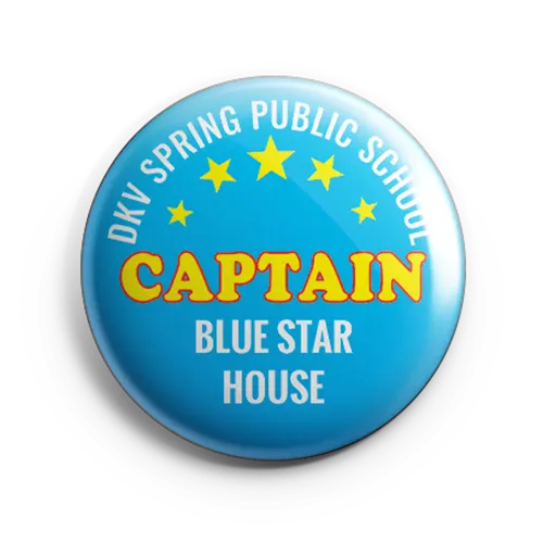 captain house button badges